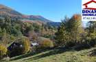 3600 mp teren intravilan, sat Bistrita, 12 Euro/mp - 2