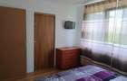 Apartament cu 2 camere de inchiriat Complexul Studentesc, Timisoara - 2