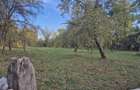 Vand teren in zona linistita Jud Valcea