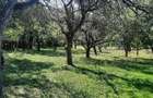 Teren de 1800 mp, în Breaza de Sus - 1