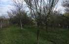 Vand teren, strada Rocii - 3