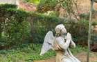 Apt. 2 camere de inchiriat - Ultracentral( cladire monument istoric) - 14