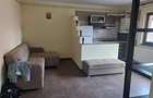 Vanzare ap 2 camere in vila Busteni, Poiana Tapului - 3