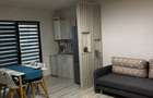 De inchiriat apt 2 camere Damilla Ford - 4