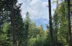 Teren de vanzare CUMPATU Sinaia