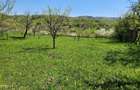 Vand teren 16000 mp intravilan/extravilan in zona Valenii de Munte jud. Prahova - 3