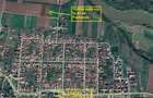 Teren pretabil locuri de casa Fantanele, 4450 mp fs.41 ml 56500 euro