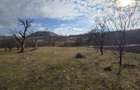 Teren intravilan, 3800 mp, ideal investitie - zona turistica , Moigrad
