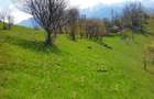 teren intravilan in zona Magura Bran - 23