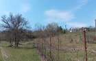 Casa de vanzare, Cotmeana, Arges, 6772 mp. 25km Pitesti - 6
