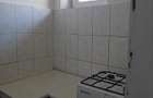Apartament la casa, 2 camere Buc?inescu | Intrare ?i utilita?i separ - 5