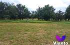 Teren intravilat| Zona rezidentila 1156 mp-TURNISOR - 1