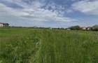 Teren intravilan - Zona Bod - 10