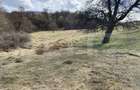 Teren extravilan in suprafata de 7500 mp la poalele Mesesulu - 2
