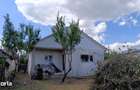 Casa cu teren mare zona Scoala 8-Grivita
