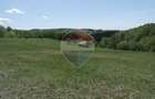 Teren de vanzare Preluca Noua, 1.5 ha, potential turistic - 3