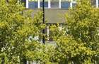 apartament decomandat 3 camere Andrei Muresanu Bistrita - 7