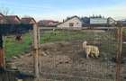 Casă cu Teren 913 Mp în Săcălaz - 3