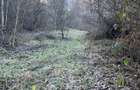 Vand teren extravilan 15000m in Valea Lunga-Dambovita cu padure, ideal pentru investitii - 5