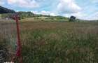 Teren 1580 m2 intravilan si casuta la rosu - 7