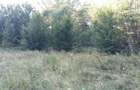 De vanzare teren 11500 mp partial intravilan