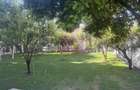 Vila P+1+M incojurata de o oaza de liniste si verdeata Br... - 10