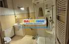 inchiriere vila P+1, zona Calea Calarasi-Tepes Voda - 7