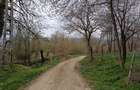 Vand teren intravilan, 1808 mp, situat in Sat Poiana Mierlei, Com. Drajna, Jud. Prahova - 2