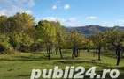Teren de 3300 mp, în Predeal - 1