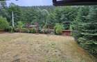 Căsuță de vacanță de vânzare – comuna Alexandru cel Bun, Neamț - 8