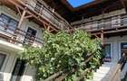 Casa de vacanta cu camere de inchiriat Vama Veche - 3