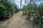 Teren intravilan, 6796 mp, zona Crangurile de Jos - 5