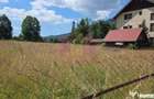 Teren 1000 mp cu view superb in Busteni - Busteni (Prahova) - 1