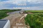 Proprietar, terenuri agricole extravilane, cadastru si intabulare, A0 - 35