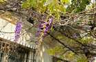 Ploiesti AFI, ideal sediu firma, birou avocat notar, salon, sau locuinta (familie de 2 persoane)