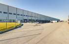 Hală cu suprafața utilă de 8.000 mp Giarmata - 3