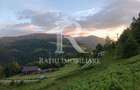 Teren 10.900mp | Panorama in Apuseni | Remeti -Ideal pentru Investitii - 4