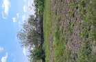 Teren de vanzare compact intravilan + extravilan 7000mp - 10