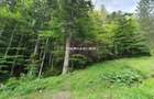 Teren intravilan de vanzare in Sinaia - Zona Furnica - 1