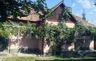 Teren intravilan generos + 2 case – 15.277 mp, front 30 m, multiple posibilități