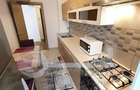 Apartament 2 Camere, Conest Grand Residence, Tudor Vladimirescu, Parca - 4