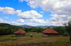 Poiana privata, padure si casa- Negreni | Proprietate cu potential turistic