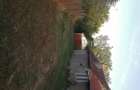 Casa si terenuri in Balta Alba, la 22km de Ramnicu Sarat - 3