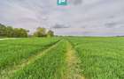 Teren extravilan 19.900 mp – Giroc centură