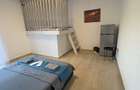 Cazare Apartamente in VILA CU PISCINA - 7