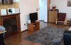 Inchiriere apartament 1 camera - 7