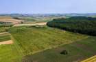 Plantatie Alun Frata Cluj 700.000 - 7