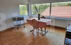 Casa+Spatiu Pentru Afacere/Locuit Iancu Jianu - 3