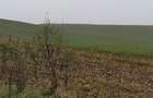 55000 mp teren imobil-comercial sau privat - 7