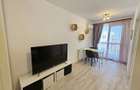 Apartament cu o camera de inchiriat, Hils Pallady - 12